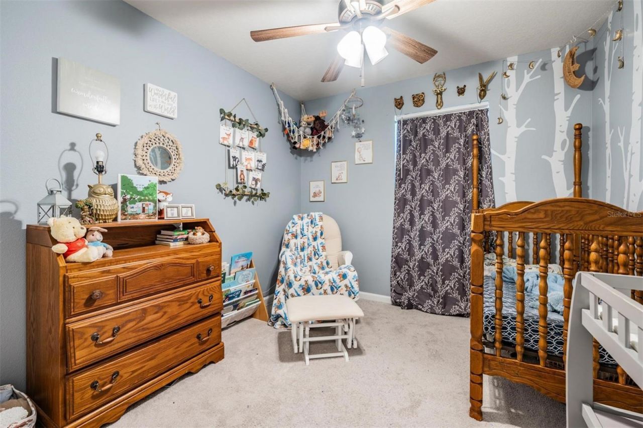 15068 Caravan Avenue, Odessa, FL 33556 Photo