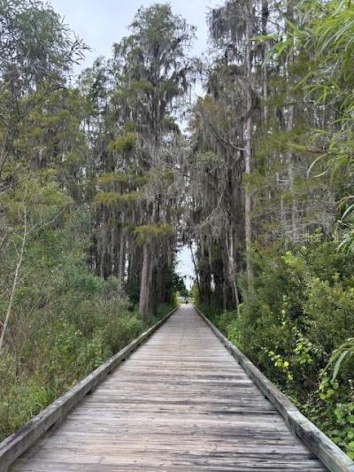 15068 Caravan Avenue, Odessa, FL 33556 Photo