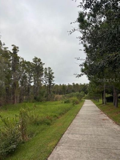 15068 Caravan Avenue, Odessa, FL 33556 Photo