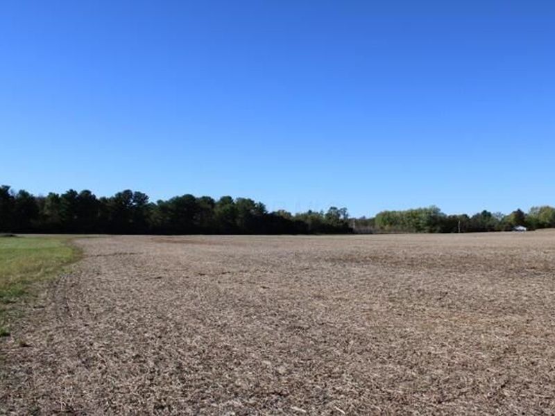 0 Panhandle Road, Delaware, OH 43015 Photo 5