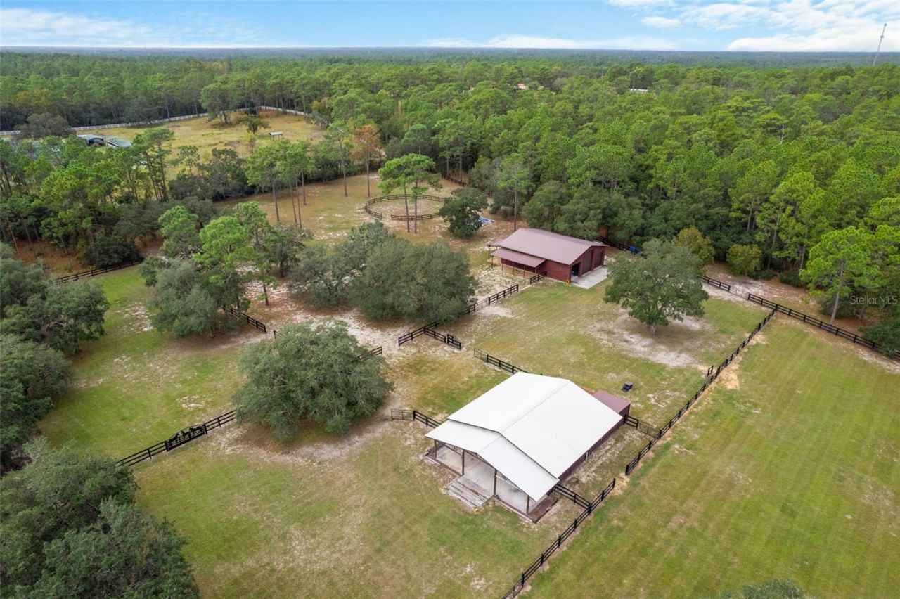 4202 N Pony Drive, Beverly Hills, FL 34465 Photo