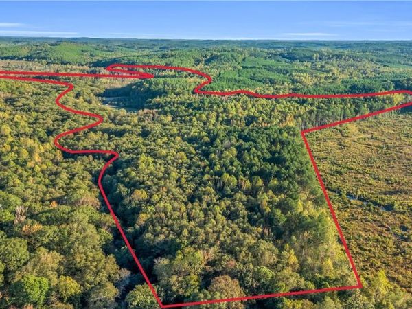 TBD Snake Branch rd, Vernon, AL 35592