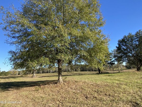 Carey Byrd Road, Carriere, MS 39426