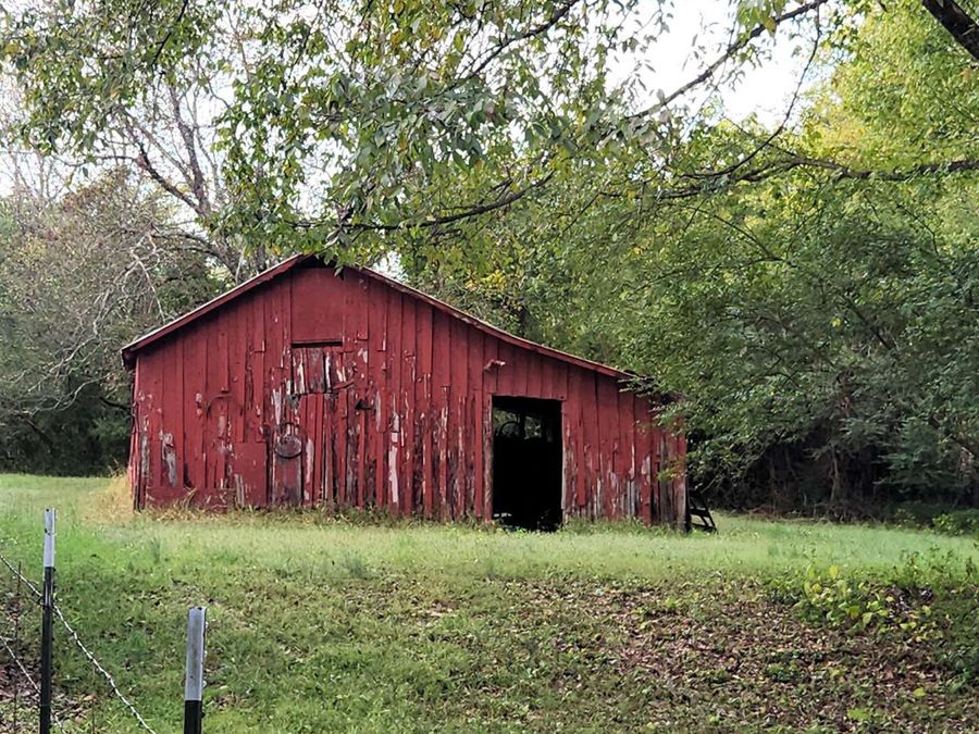 Property Image 10