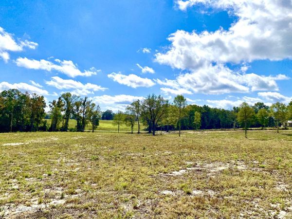 Mcneil Henleyfield Road, Carriere, MS 39426
