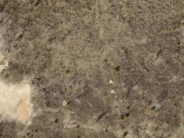 Tract 8B Rigsby Loop, Lonsdale, AR 72087