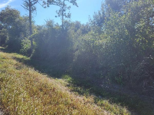 29221 DEFIANCE AVENUE, PUNTA GORDA, FL 33982