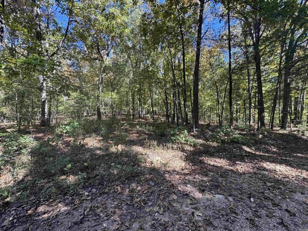 0 River Trace Lane, Hardy, AR 72542