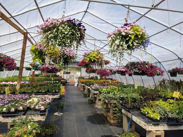 691 State 371 NW, Backus, MN 56435