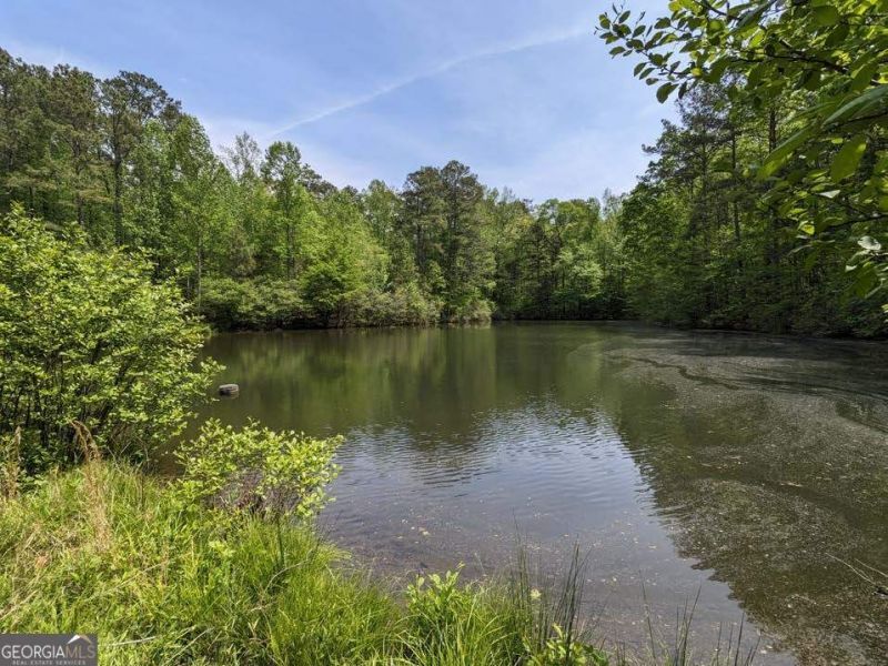 13340 New Providence Road, Milton, GA 30004 Main Photo