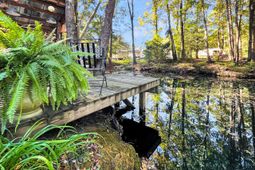 137 Catfish Court photo 4