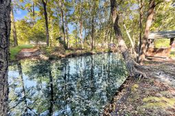 137 Catfish Court photo 4