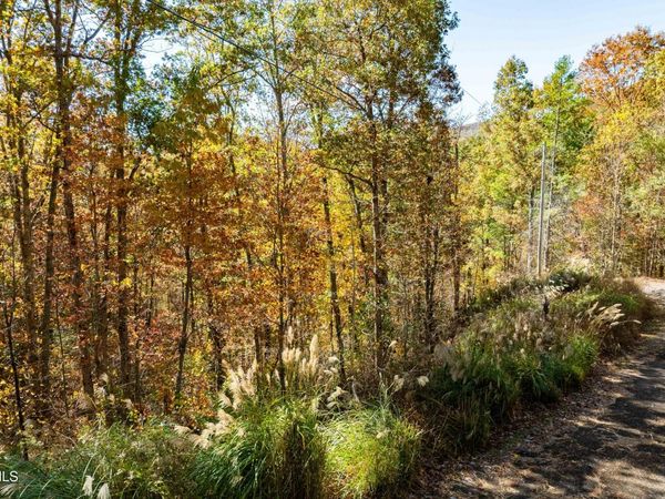 Tbd 000 Blackberry Hill Lane, Mountain City, TN 37683