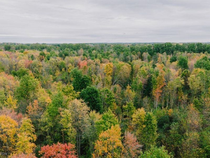 Mahoning Avenue, Lake Milton, OH 44429 Photo 10