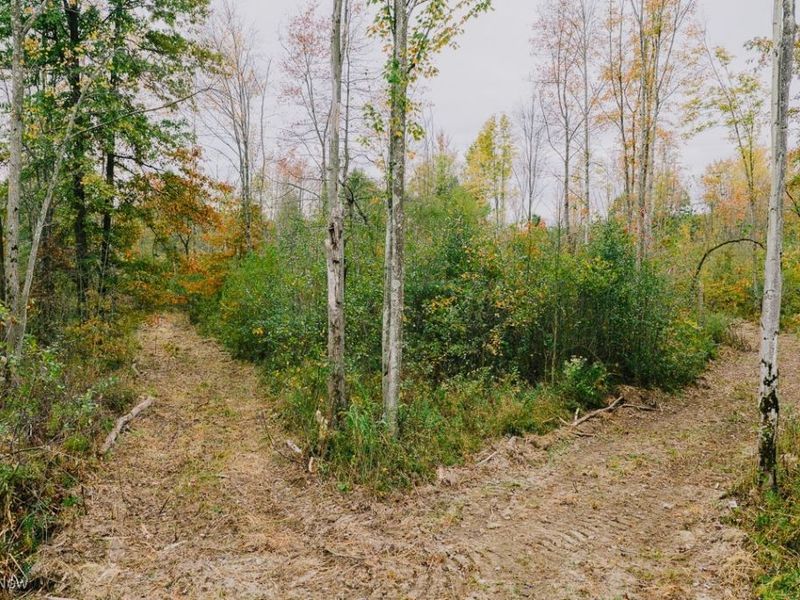 Mahoning Avenue, Lake Milton, OH 44429 Photo 12