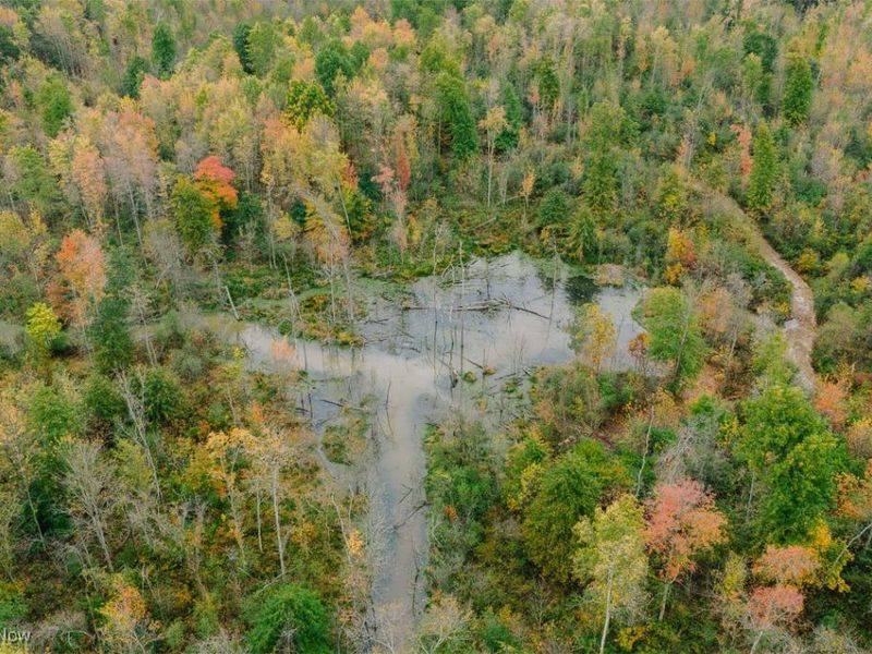 Mahoning Avenue, Lake Milton, OH 44429 Photo 18