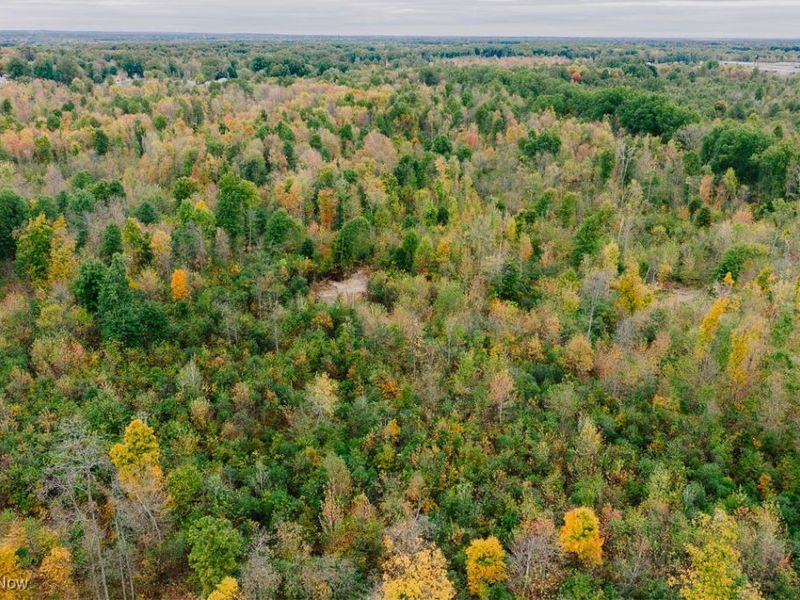 Mahoning Avenue, Lake Milton, OH 44429 Photo 9