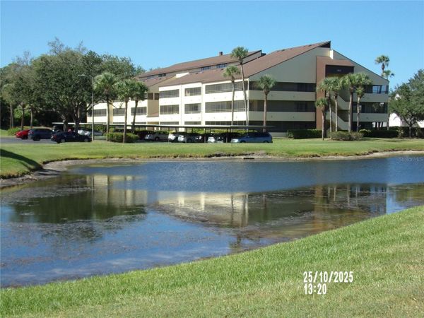 13612 S VILLAGE DRIVE, Unit 5307, TAMPA, FL 33618