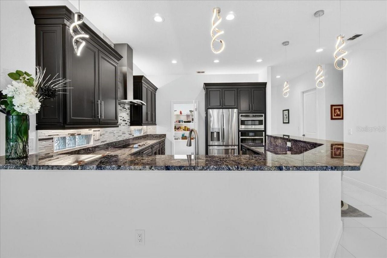 743 Teaberry Trail, Polk City, FL 33868 Photo