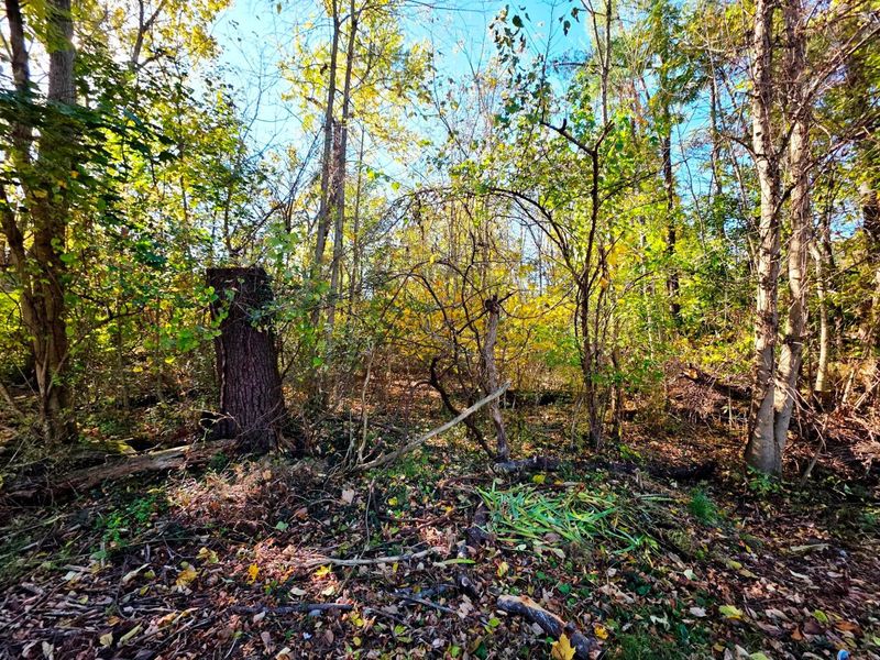 0 Circle South Road NE, Thornville, OH 43076 Photo 6