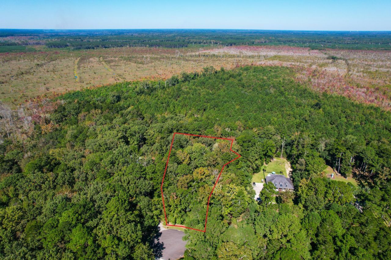 6682 Pepper Grass Trail Photo 17