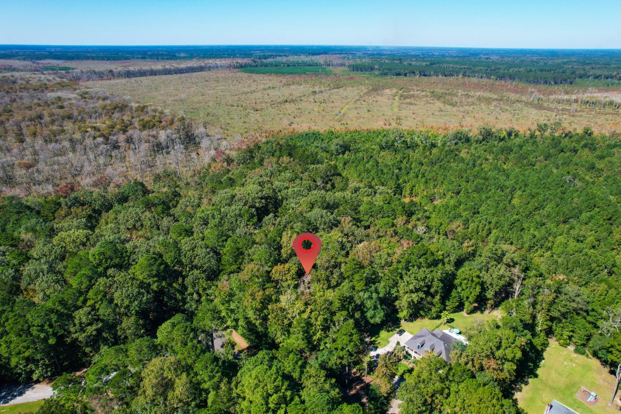 6682 Pepper Grass Trail Photo 18