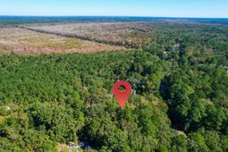 6682 Pepper Grass Trail photo 4