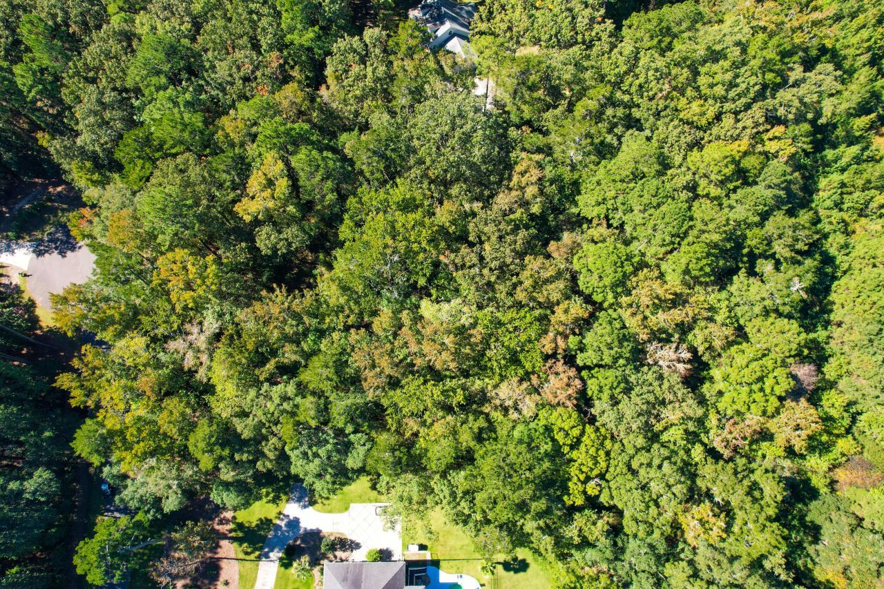 6682 Pepper Grass Trail Photo 22