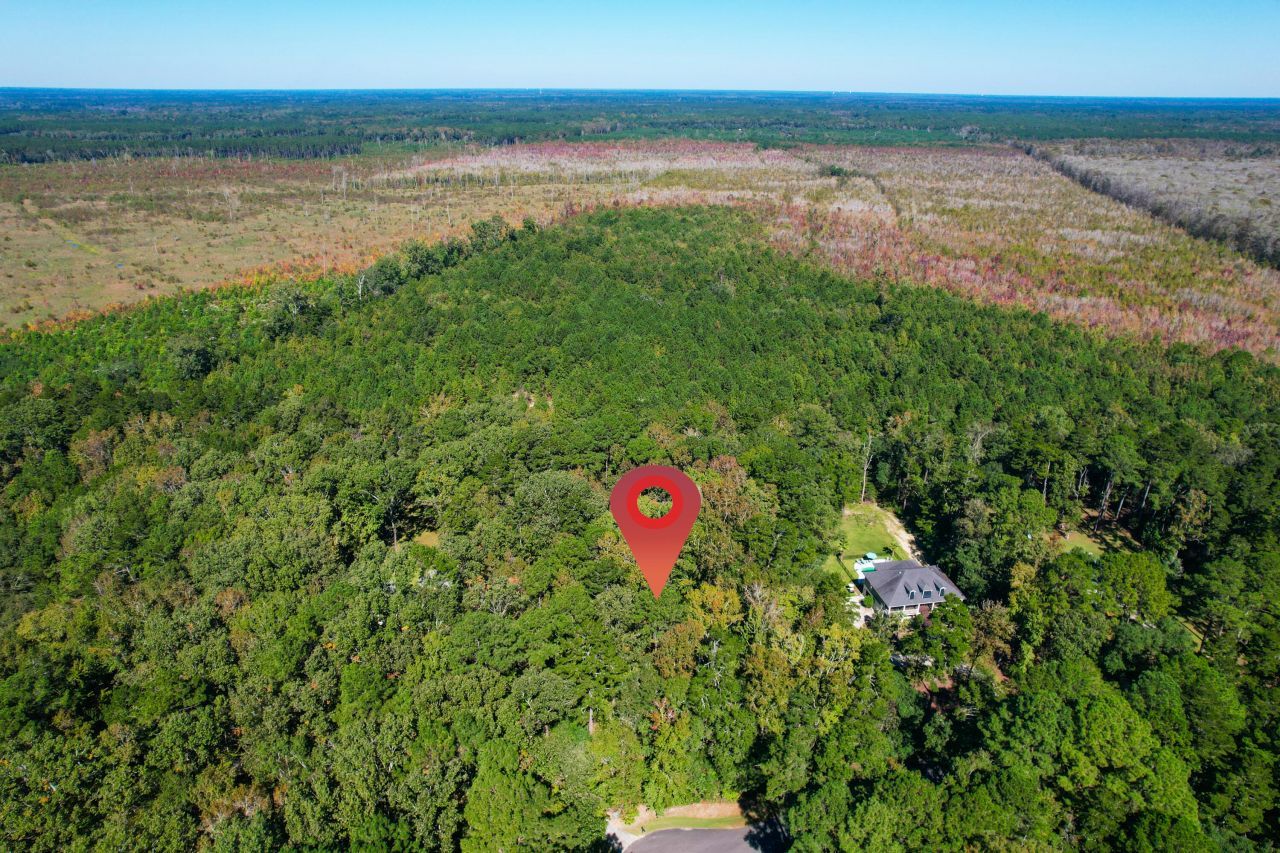 6682 Pepper Grass Trail Photo 23