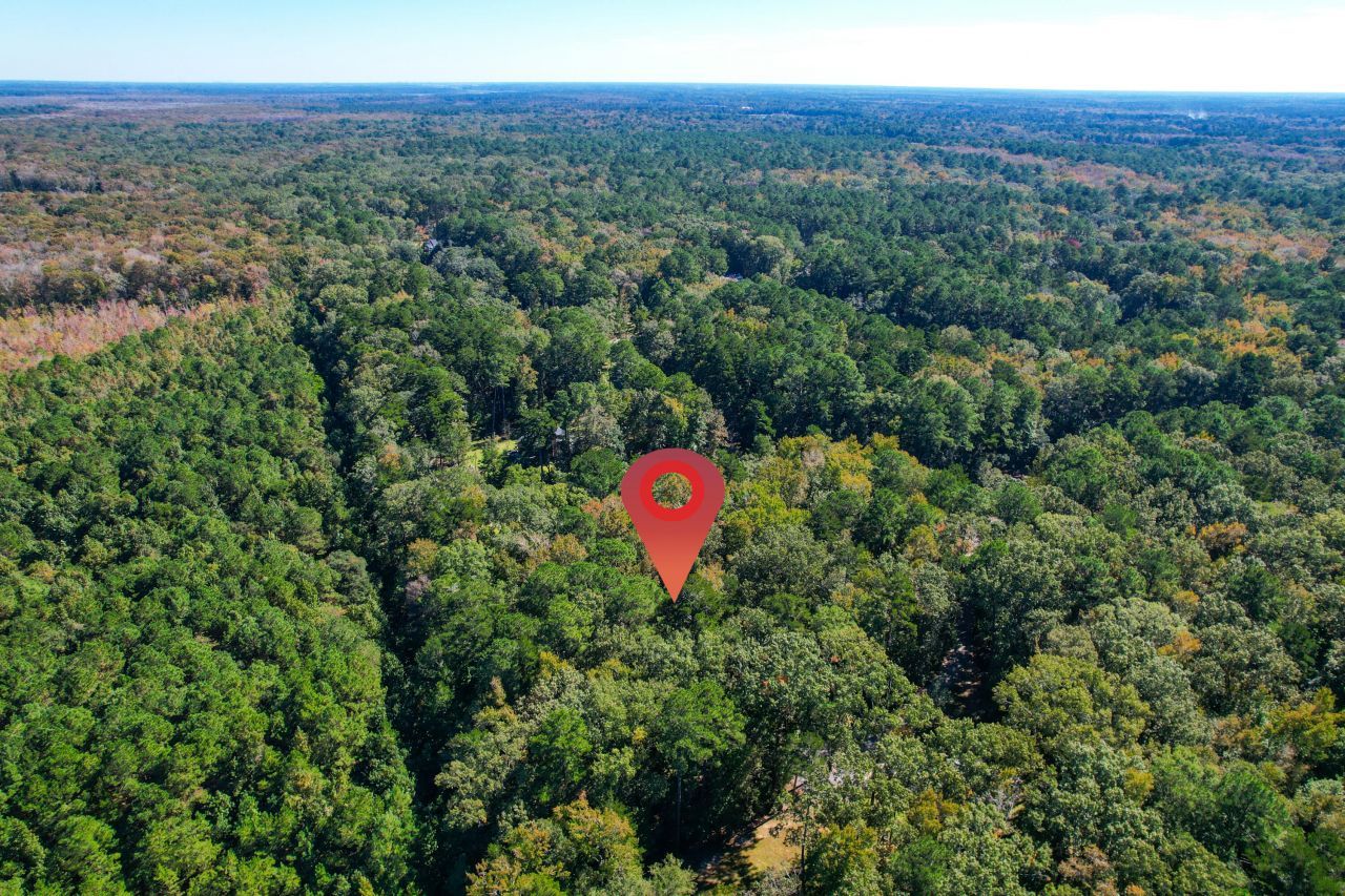 6682 Pepper Grass Trail Photo 24