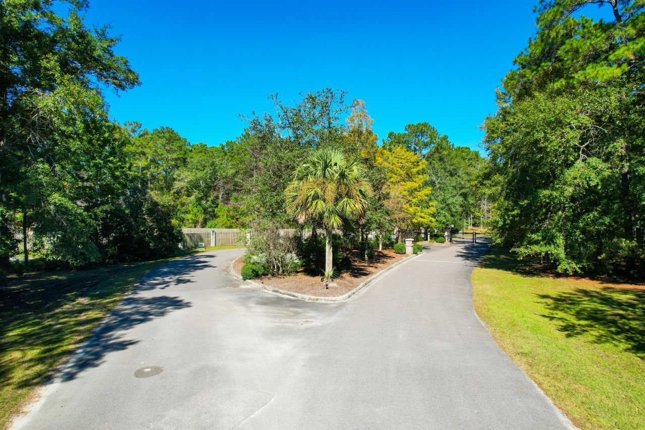 6682 Pepper Grass Trail Photo 4