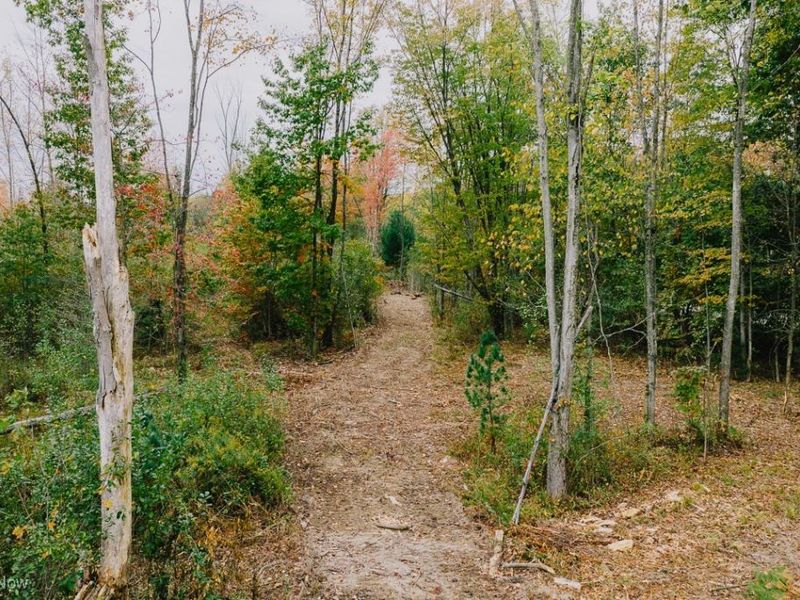 Mahoning Avenue, Lake Milton, OH 44429 Photo 13