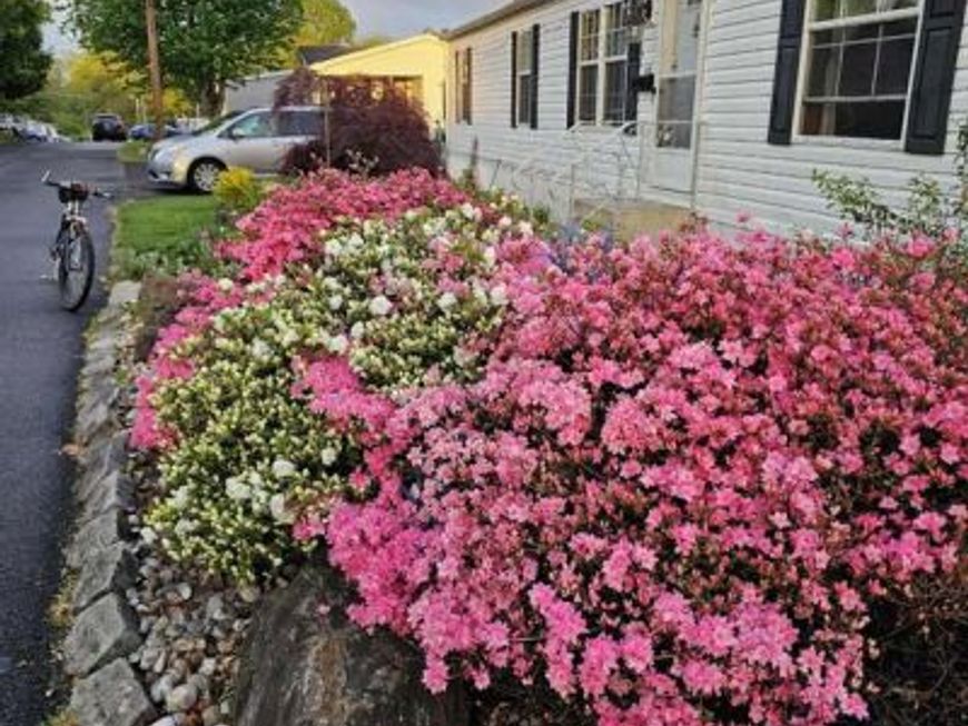 2304 Brownsville Road, Unit L22, Feasterville Trevose, PA 19053 Main Photo