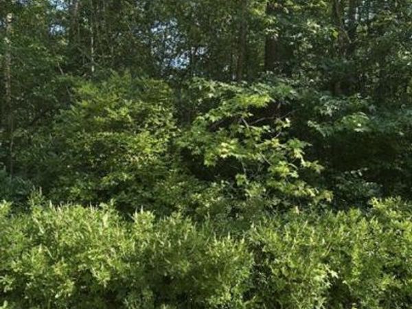 Lot 22 Lake Drive, COLONIAL BEACH, VA 22443