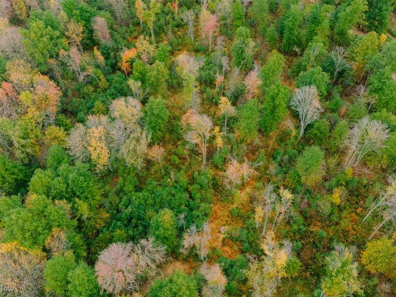 Mahoning Avenue, Lake Milton, OH 44429 Photo 7