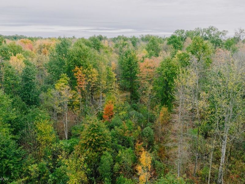 Mahoning Avenue, Lake Milton, OH 44429 Photo 8