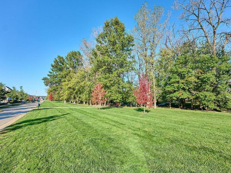 5301 Maple Drive , Lewis Center, OH 43035 Photo 4