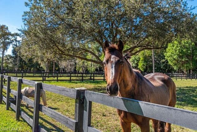 6920 Daniels Rd, Naples, FL 34109 Photo