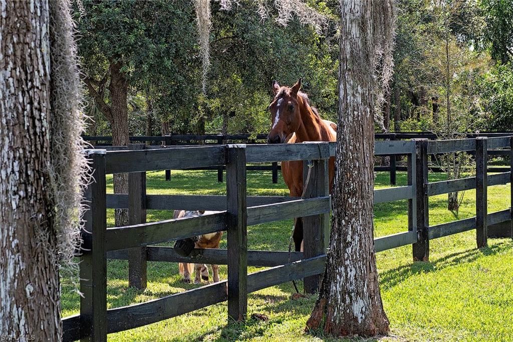 6920 Daniels Rd, Naples, FL 34109 Photo