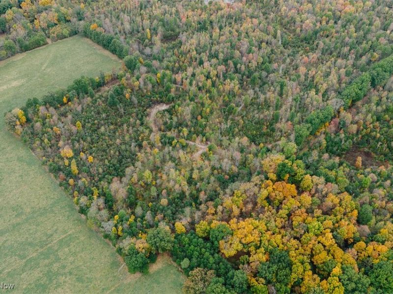 Mahoning Avenue, Lake Milton, OH 44429 Photo 19