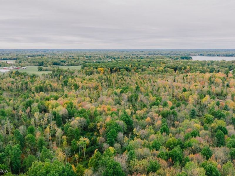 Mahoning Avenue, Lake Milton, OH 44429 Photo 6