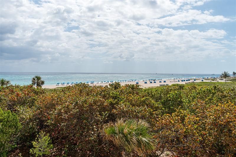 3100 N Ocean Drive, Unit H1601, Singer Island, FL 33404 Photo