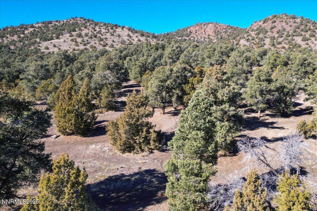 2120 Scorpion Road, Lot #212, Reno, NV 89521 Photo