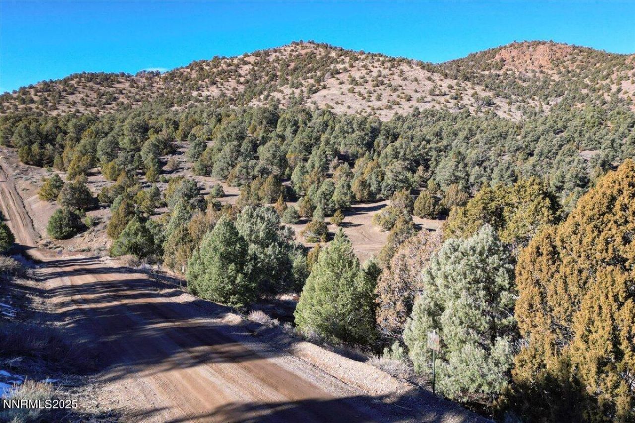 2120 Scorpion Road, Lot #212, Reno, NV 89521 Photo
