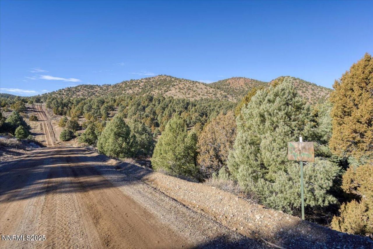 2120 Scorpion Road, Lot #212, Reno, NV 89521 Photo