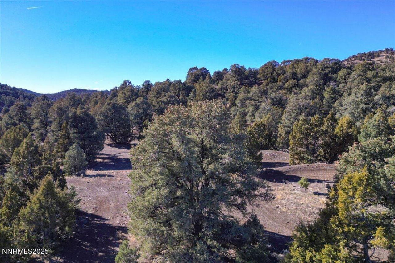 2120 Scorpion Road, Lot #212, Reno, NV 89521 Photo