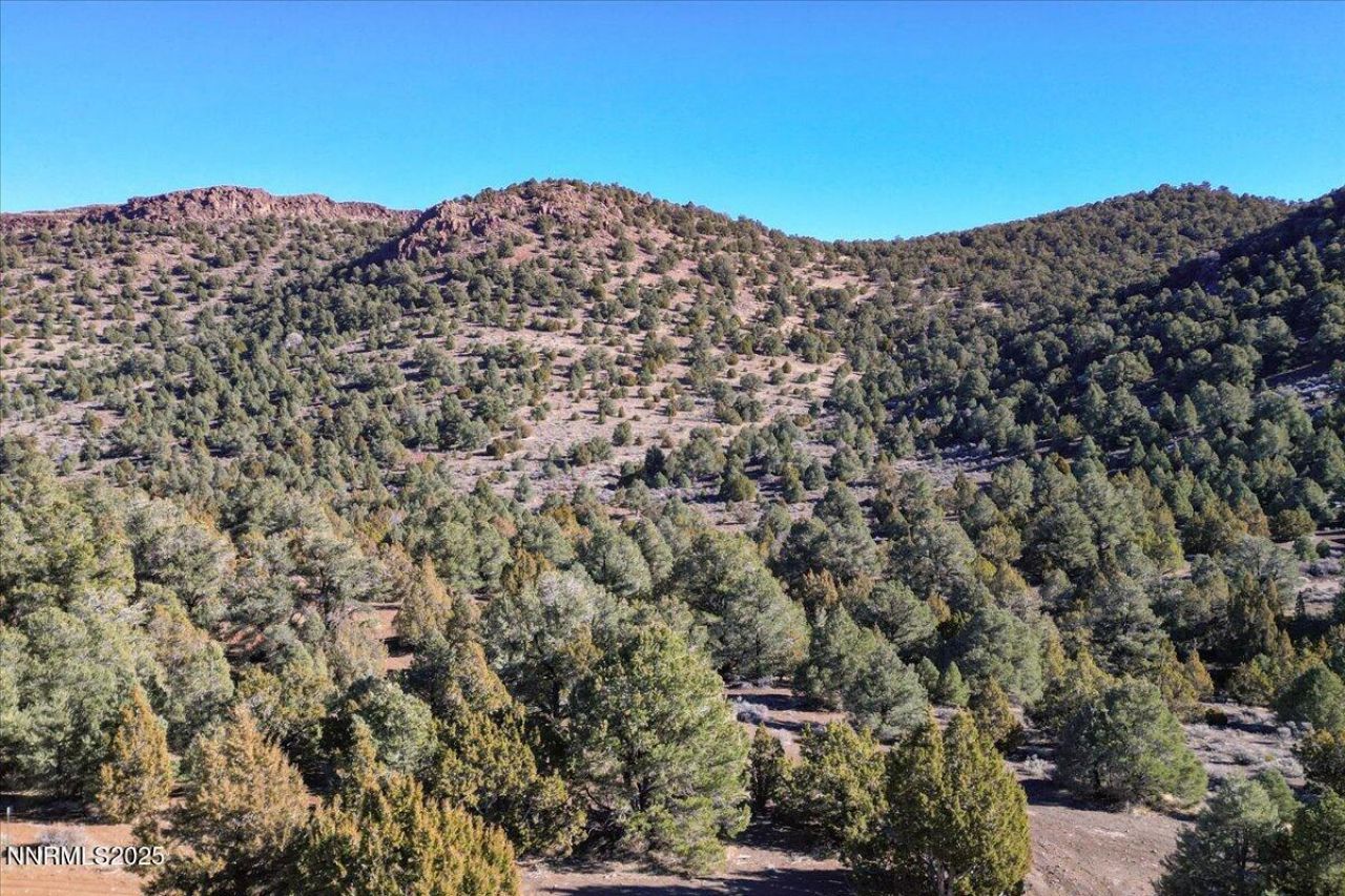 2120 Scorpion Road, Lot #212, Reno, NV 89521 Photo