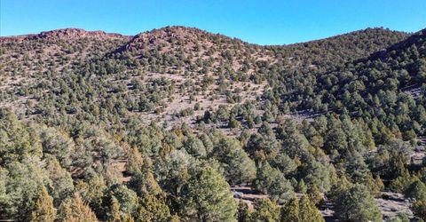 2120 Scorpion Road, Lot #212, Reno, NV 89521 Photo