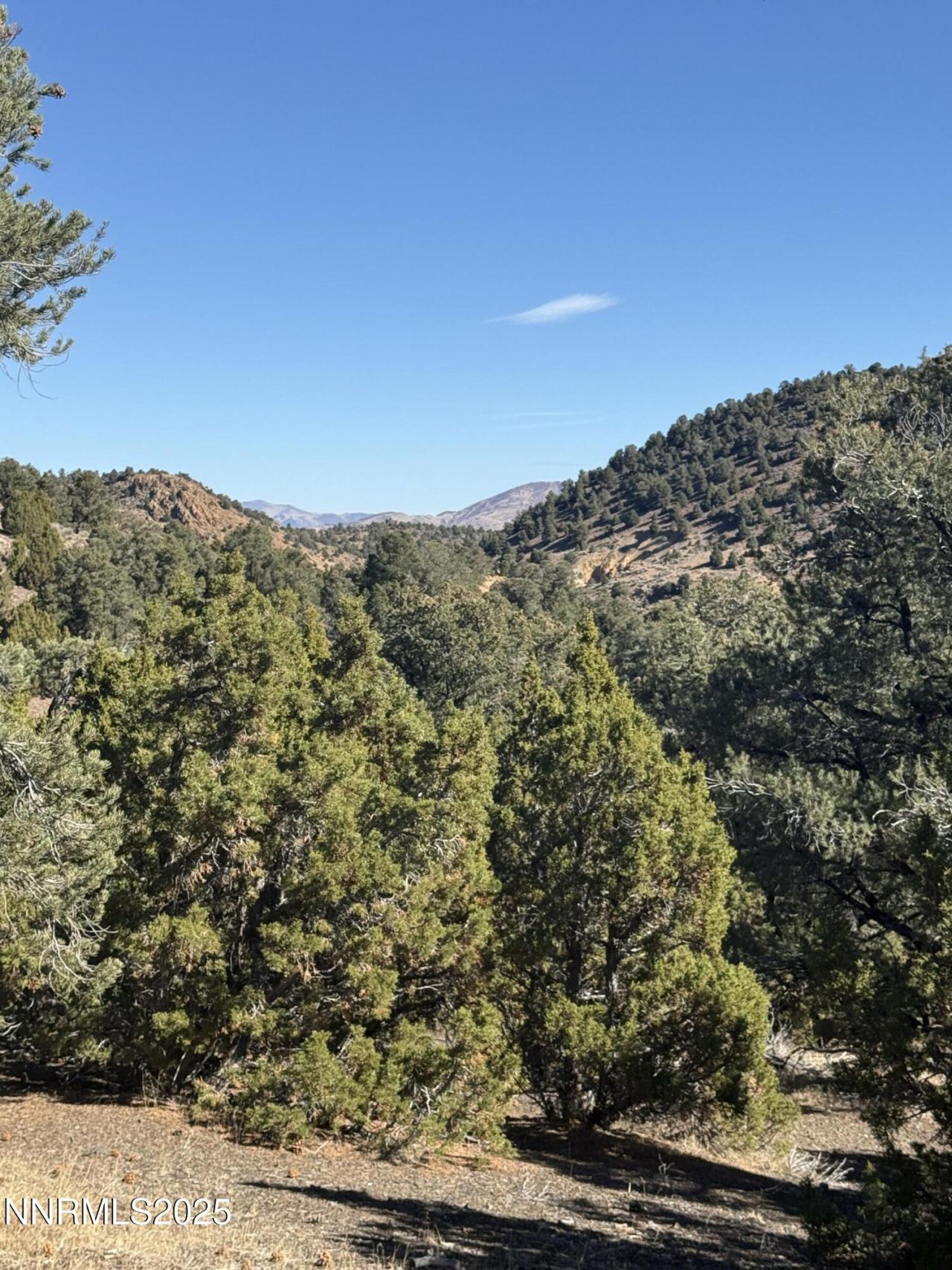 2120 Scorpion Road, Lot #212, Reno, NV 89521 Photo