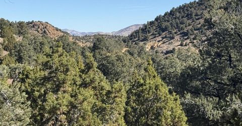 2120 Scorpion Road, Lot #212, Reno, NV 89521 Photo